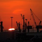 Cranes at sunset